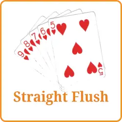 Straight Flush (স্ট্রেইট ফ্লাশ)