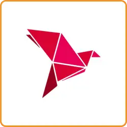 bkash logo